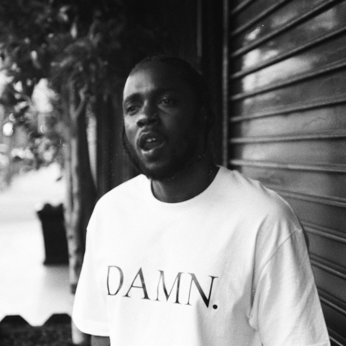 ‎DAMN. COLLECTORS EDITION. - Album by Kendrick Lamar - Apple Music