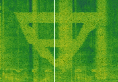 vision spectrogram dig it