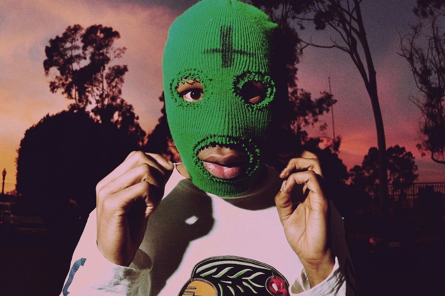 Hall of Fame: Tyler, The Creator - 'GOBLIN' • DIY Magazine