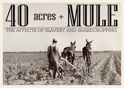 Special Field Order #15 or better known as "40 acres and a mule"