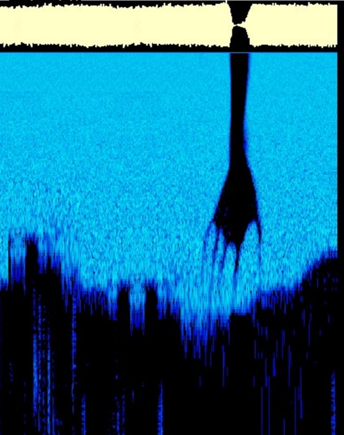 Image tagged with Waveform, The Presence, Year Zero – @nicktaxidermy on Tumblr
