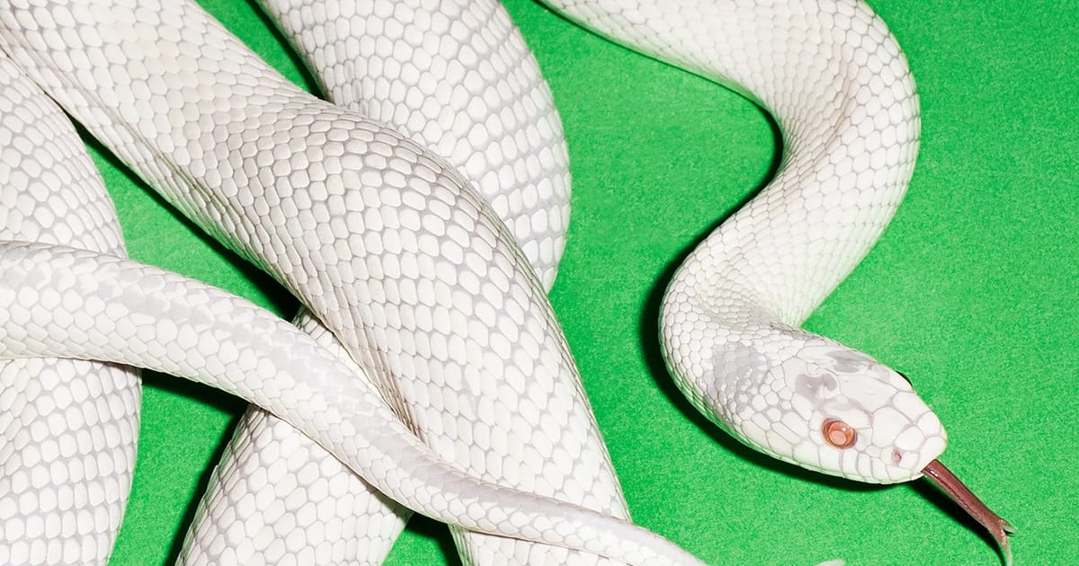 Deftones — my mind is a mountain - mak на we.ua