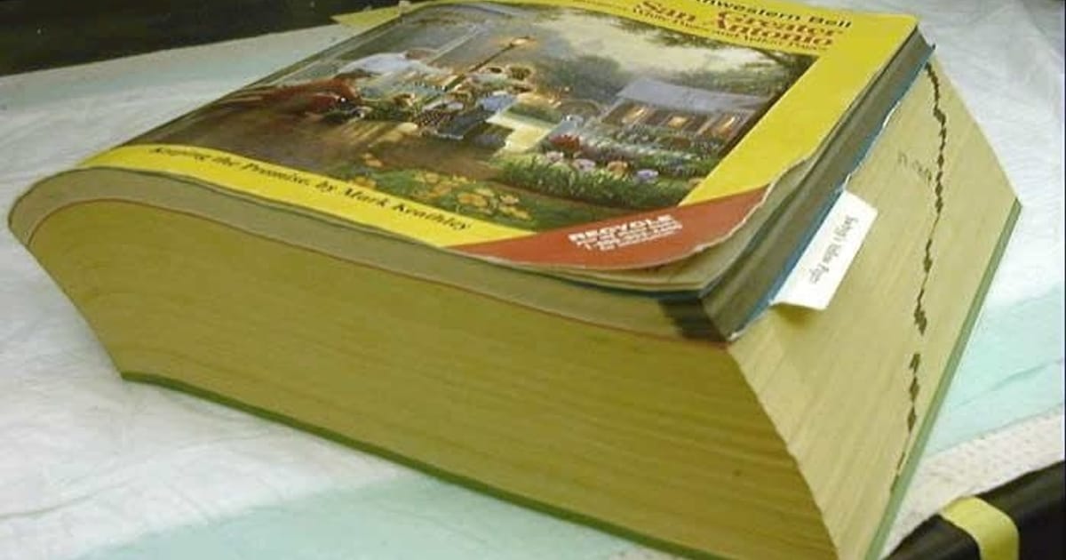 Чому тобі не варто проводити кампанії по готовим книжкам - the.pie_is_a.lie на we.ua
