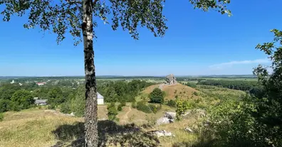 Картинка довгочиту