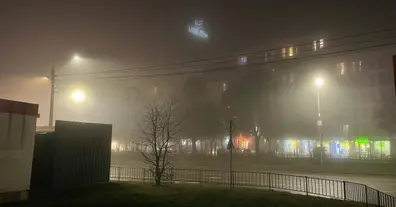 Картинка довгочиту