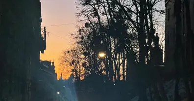 Картинка довгочиту