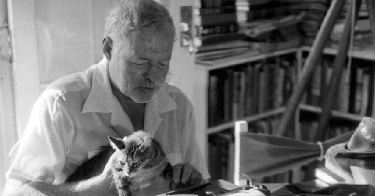 Принцип айсберга. Підтекст, що укріплює сюжет - Вікторія на we.ua