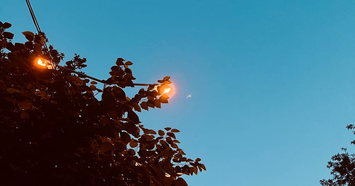 сигнальна ракета 🚀 - павло щепан на we.ua