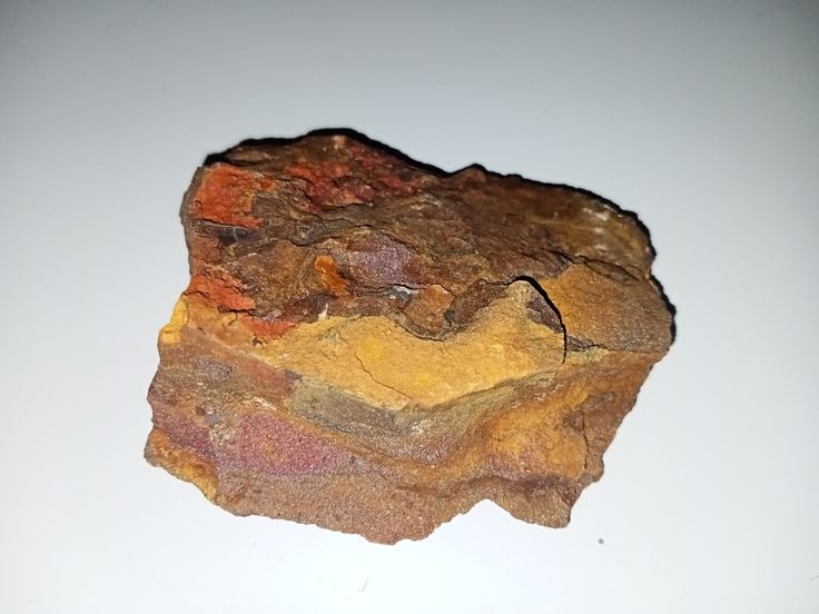 Вохристий бурий залізняк на контакті з глинами. Зразок представляє всі колірні види вохр, знайдені нашим клубом