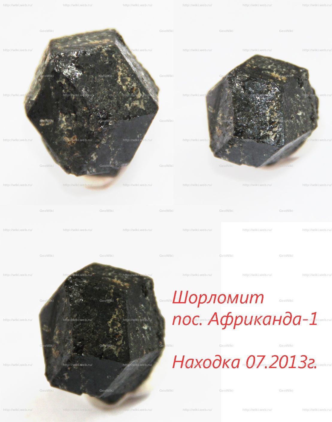 Так виглядає типовий шорломіт з Африканди Мурманської області