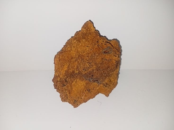 Бурий залізьняк (майже суцільне переважання гідрогьотиту) з порожнинами, заповненими гьотитом.