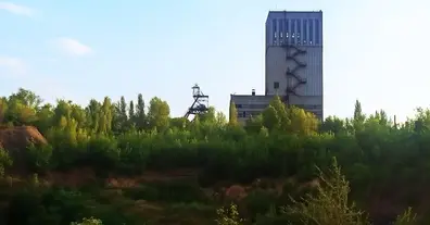 Картинка довгочиту