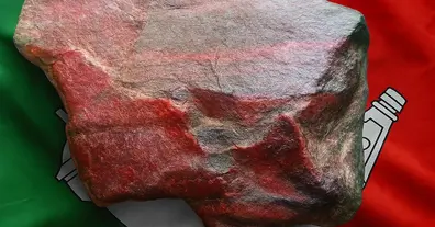 Картинка довгочиту