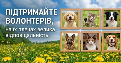 Картинка довгочиту