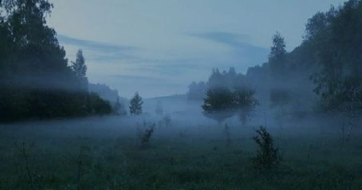 покірність - jinikamin на we.ua