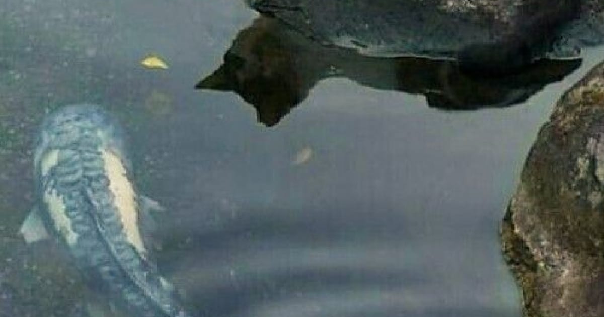 свобода бути дорослим - jinikamin на we.ua