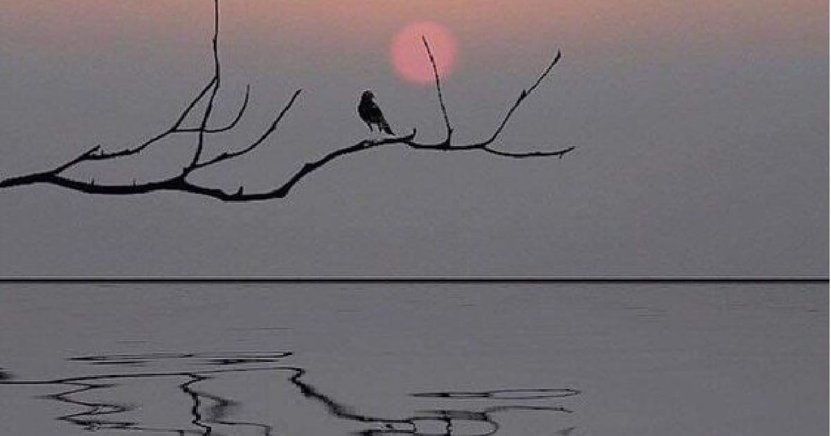 тягар усвідомлення неминучий? - jinikamin на we.ua