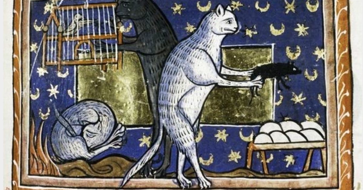 Від легенд до інтернету: коти як символи нашого часу - Лідія на we.ua