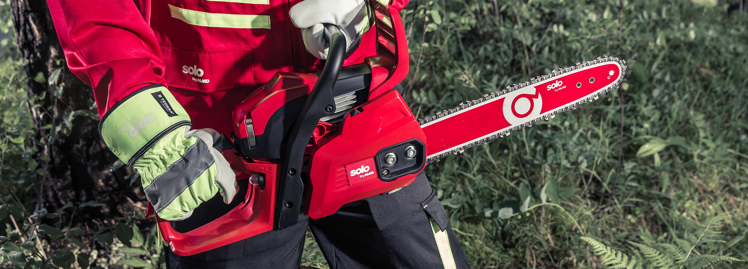 Як вибрати ланцюгову пилу: характеристики бензинових та електричних пил |  Садова техніка AL-KO