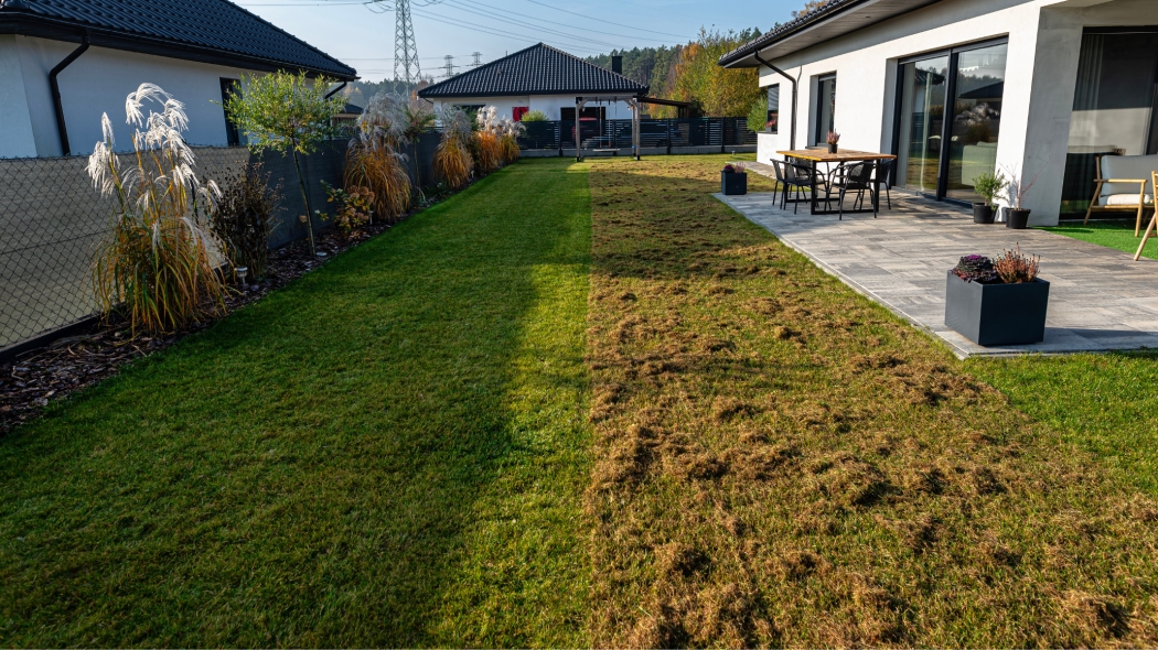 Як доглядати за газоном: поради, сезонність і часті помилки