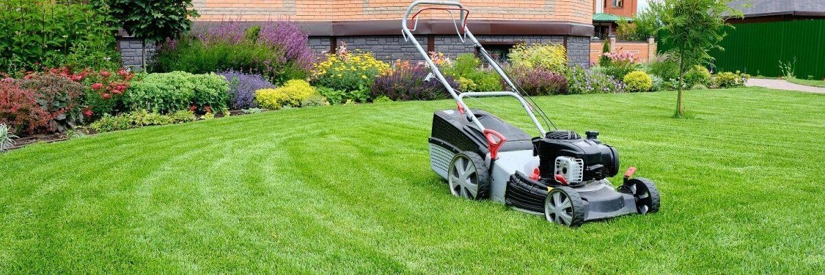 Покос газону: як правильно і коли краще стригти траву
