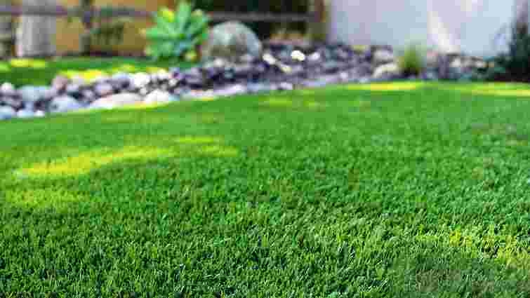 Правильний догляд за газоном: що робити кожного місяця - ZAXID.NET