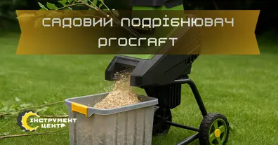 Картинка довгочиту