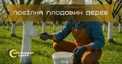 Картинка довгочиту