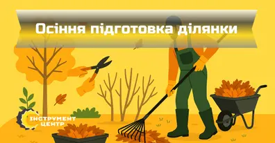 Картинка довгочиту