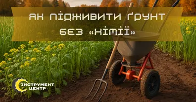 Картинка довгочиту
