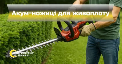 Картинка довгочиту