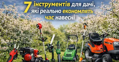 Картинка довгочиту