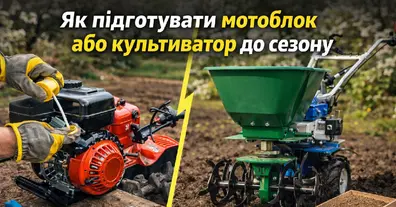 Картинка довгочиту