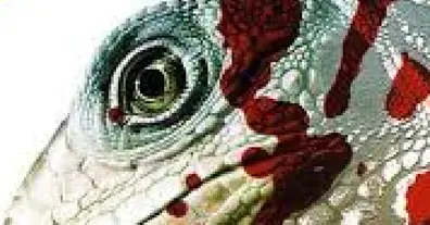 Картинка довгочиту