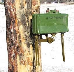 МОН-50 прикручена до дерева