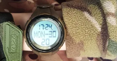 Картинка довгочиту