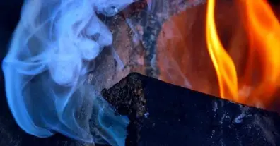 Картинка довгочиту