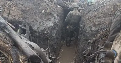 Картинка довгочиту
