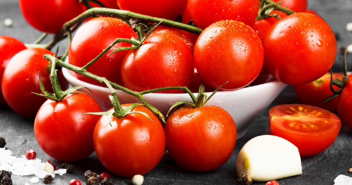 Овоч чи ягода: 22 цікаві факти про помідори - [Не]Знайка на we.ua