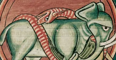 Картинка довгочиту