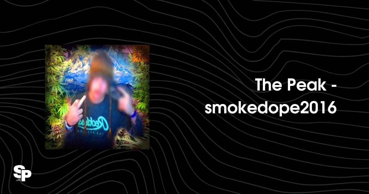 smokedope2016 - The Peak - Bohdan на we.ua