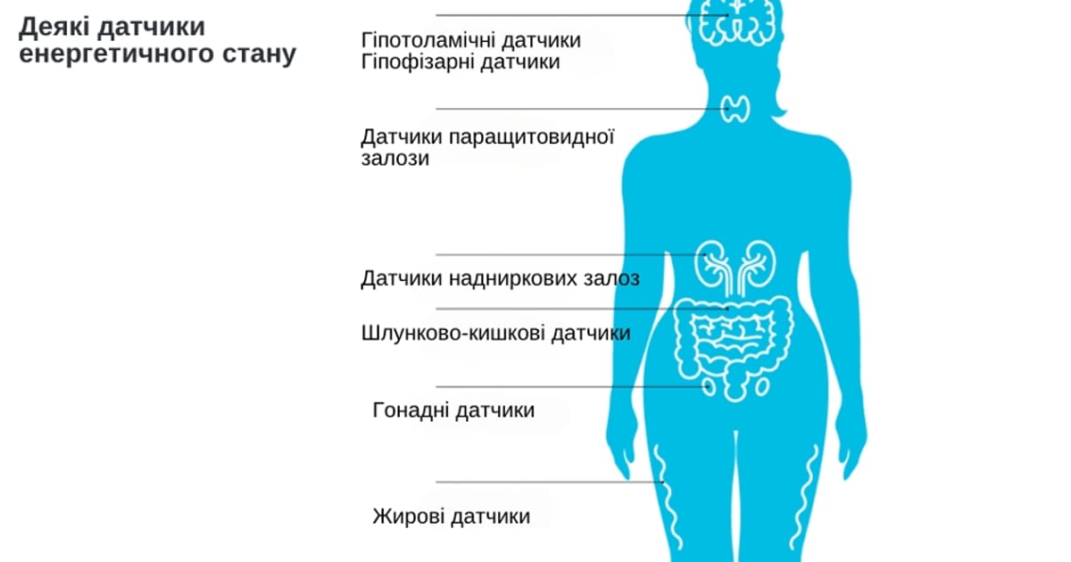 Чинники, що впливають на нашу харчову поведінку - Анна Шестакова на we.ua