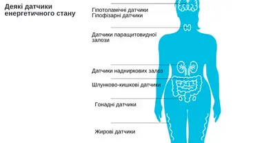 Картинка довгочиту