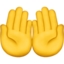 🤲