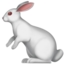 🐇