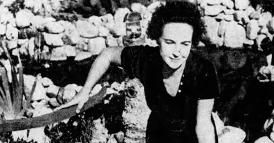 Картинка довгочиту