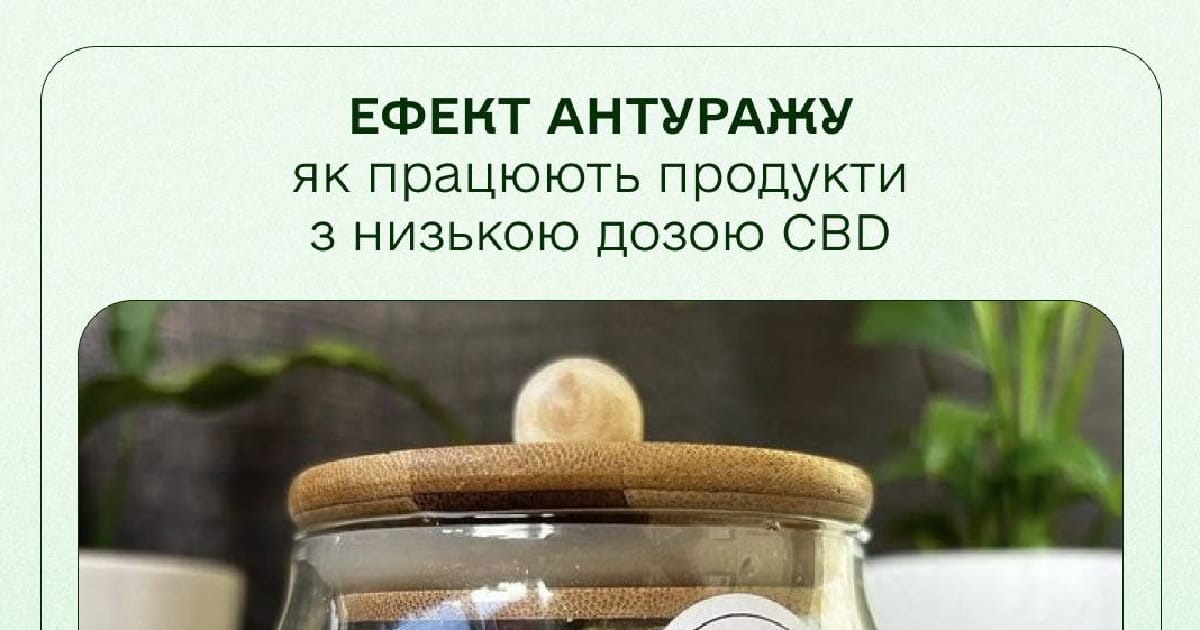Ефект антуражу — як працюють продукти з низькою дозою CBD - Зелена медыцина на we.ua
