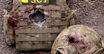 Картинка довгочиту