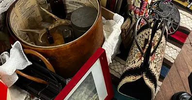 Картинка довгочиту