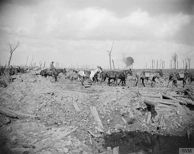 13 Battle Of Langemarck 1917 Image: PICRYL - Public Domain Media Search  Engine Public Domain Search}